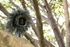 Picture of Netgear Arlo Go Cube