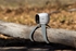 Picture of Netgear Arlo Go Cube