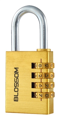 Picture of PAD CODE LOCK BRASS NL11 40 * 46/72 (BLOSSOM)