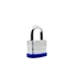 Picture of HANGING LOCK SL040 40 mm 12/96 (BLOSSOM)