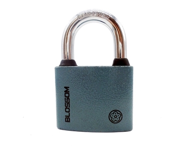 Picture of LOCK SUFFICIENT. BC2938 38MM GRAY 6/72 (BLOSSOM)