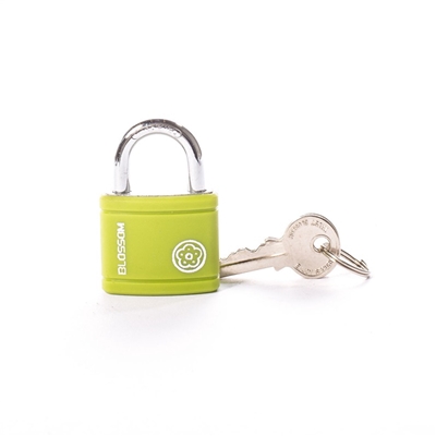 Picture of LOCK HANGING BX0132 GREEN
