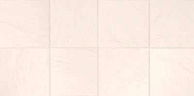 Picture of Azulindus y Marti Bristol Floor/Wall Tile 25.7x51.5cm Plain Mosaic