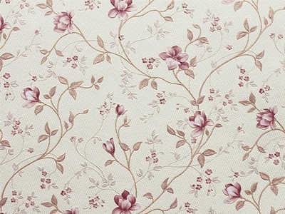 Picture of WALLPAPER PAPER B66.4 6301 06 ROSE (10)