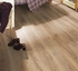 Picture of LAMINATE MAMMUT PLUS FLOORING D4725