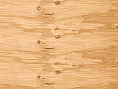 Picture of Plywood Board 12X1525X760 MM (SSS)
