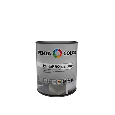 Picture of Krās pentacolor pentapro ceiling balt 1l