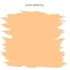 Picture of COLOR BATH &amp; KITCHEN 2.5 l APRICOT KR (PENTACOLOR)