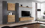 Show details for ASM Switch VI Wall Unit Graphite/Wotan Oak