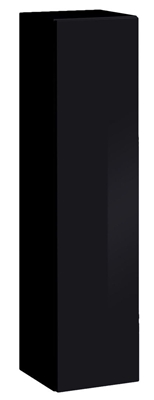 Picture of ASM Switch SW 2 Wall Cabinet Black