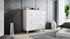 Picture of Cama Meble Lotta 110 2D4S Chest of Drawers Sonoma Oak/White