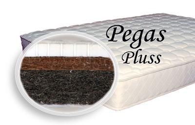 Picture of SPS+ Pegas Pluss 90x200x10