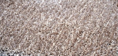 Picture of CARPET RSS 0006 1.6 X 2.4