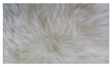 Show details for Sheepskin rug Futura, 125x65cm, white