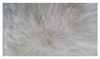 Picture of Sheepskin rug Futura, 125x65cm, white