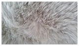 Show details for Sheepskin rug Futura, 90x60cm, gray