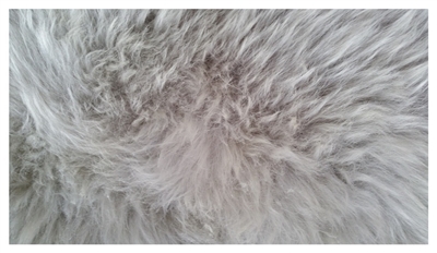 Picture of Sheepskin rug Futura, 90x60cm, gray