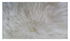 Picture of Sheep Leather „SHEEPSKIN RUG QUARTO-M 190X100“ (FUTURA)