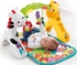 Picture of Fisher Price Newborn To Toddler Play Gym CCB70