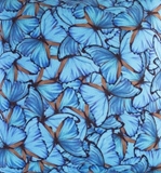 Show details for Home4you Tablecloth Holly 43x116cm Morpho Butterfly 802