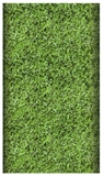 Show details for Pap Star Football Tablecloth 5 x 1.2m Green