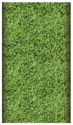 Picture of Pap Star Football Tablecloth 5 x 1.2m Green