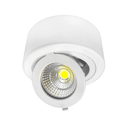 Picture of LED COB Surface Downlight Round Adjustable