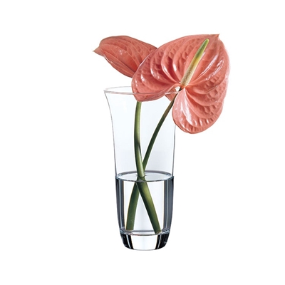 Picture of Vase gb1k6 alegria 11x21 cm