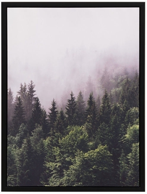Picture of Picture 60x80cm Forest