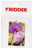 Show details for Ridder Hook Flower Orchid