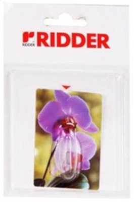 Picture of Ridder Hook Flower Orchid