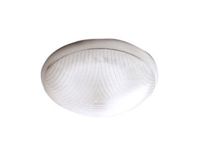 Picture of LIGHT CAMEA IP44 75 W WHITE (LENA)