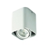 Picture of LUMINAIRE TOLEO DTL50-W GU10 BATL IP20