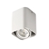 Picture of LUMINAIRE TOLEO DTL50-W GU10 BATL IP20