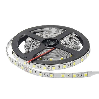 Picture of LED Strip 5050 24V Non-Waterproof Proffesional Edition £/m