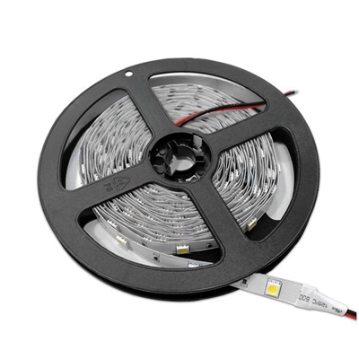 Picture of LED Strip 5050 Non-Waterproof Proffesional Edition £/m