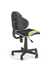Picture of Halmar Chair Flash Black/Green