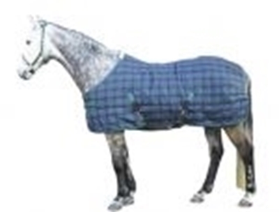 Picture of Horse blanket blue
