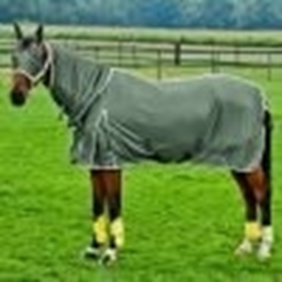 Picture of Blanket to protect the horse from insects