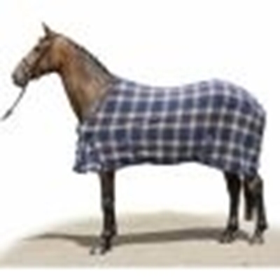 Picture of Sweat Absorbing Horse Blanket