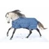 Show details for Winter Horse Blanket
