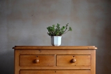 Picture for category Chest Of Drawers