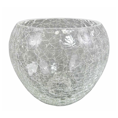 Picture of FLOWER POT ROUND FIONA TRANSPARENT