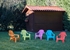 Picture of Garden chair Miniselva, blue/red/green/orange/purple, 37 cm x 39.5 cm x 44.5 cm
