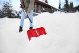 Picture for category Snow cleaning tools